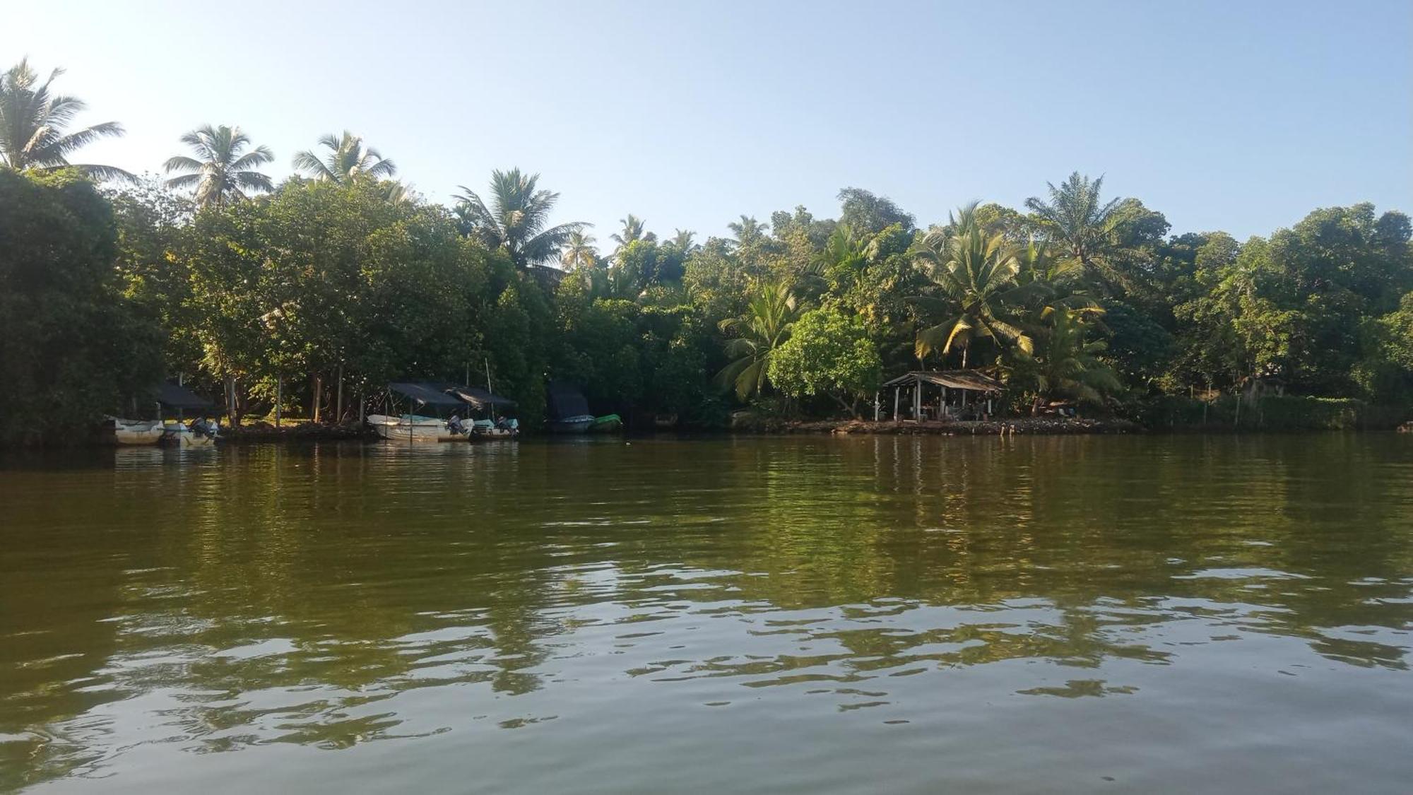 Little Swan Guest House Bentota Exterior photo