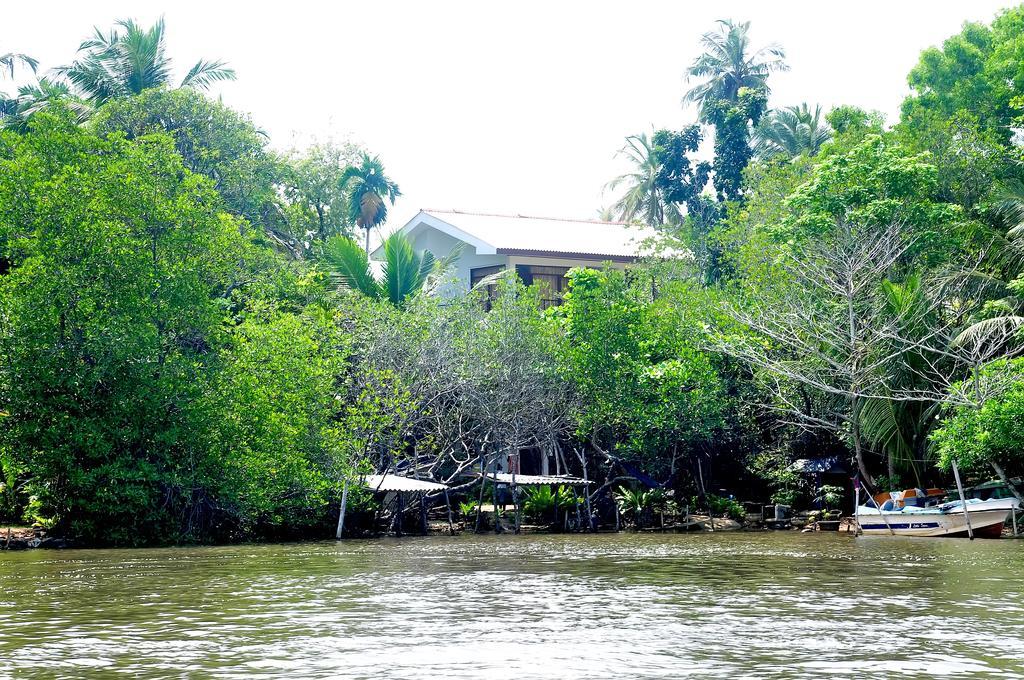 Little Swan Guest House Bentota Exterior photo