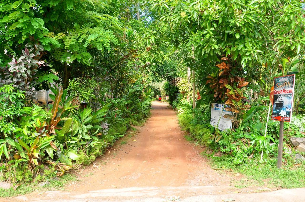 Little Swan Guest House Bentota Exterior photo